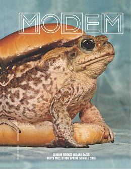cover_229