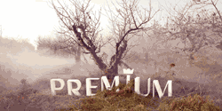 Banner PremiumFW2012.gif