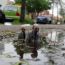 Isaac Cordal 